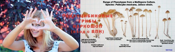 твердый Киреевск