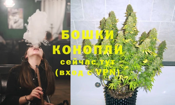 прущие грибы Киренск