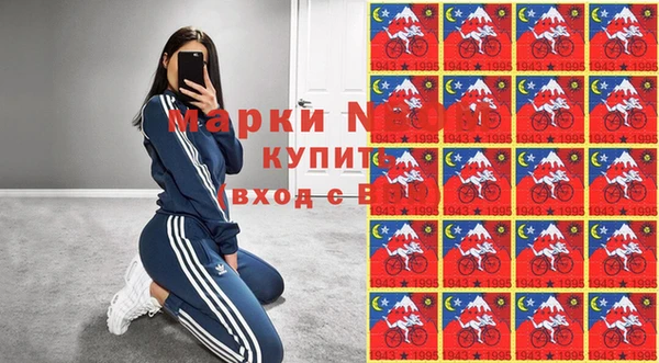 кокс Касимов